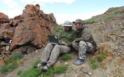 Checking the wildcams