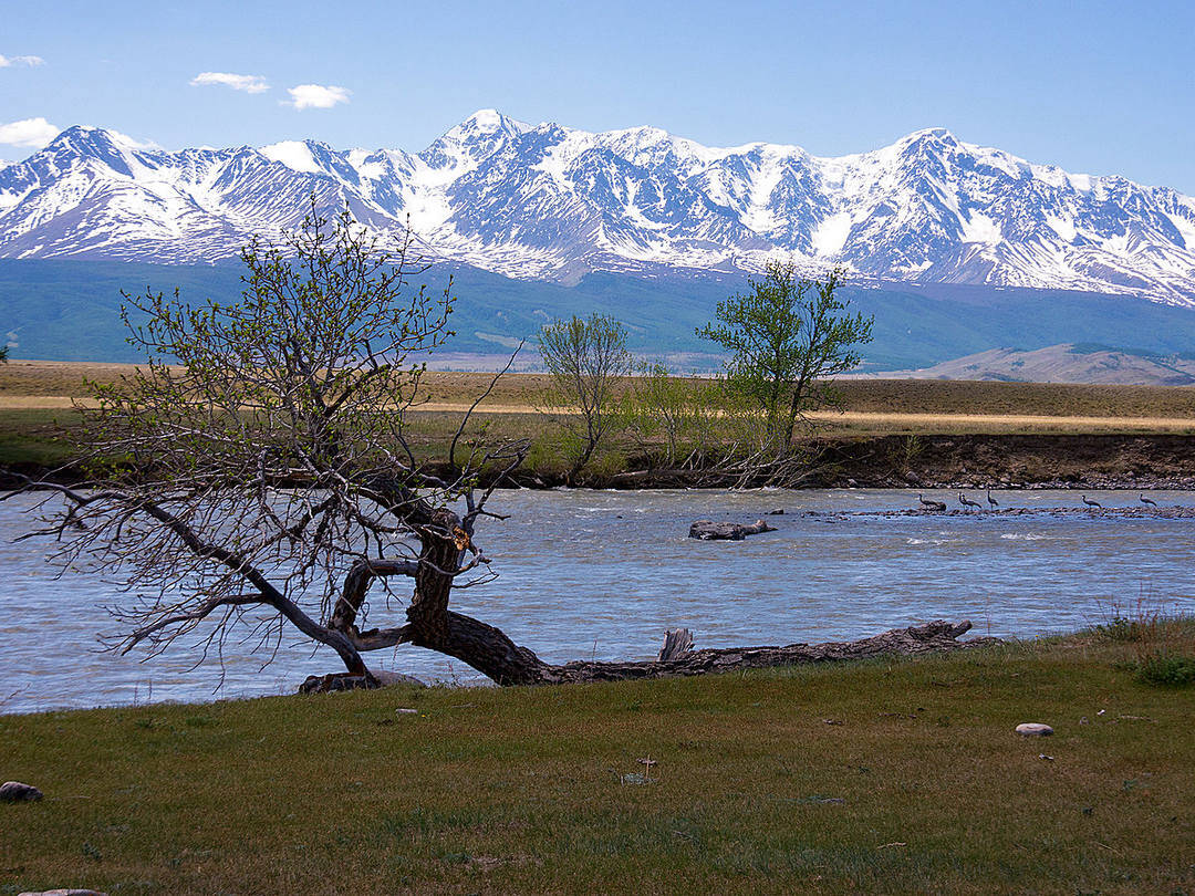 View to the mountain ridge and river in Altai