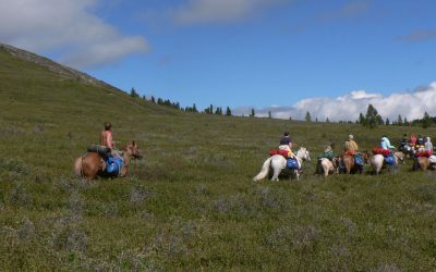 How to get to Altai? An ultimate guide
