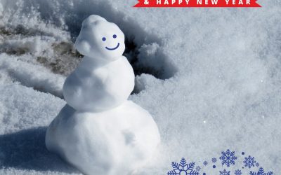 Merry Christmas and a Happy New year!